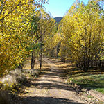 Photos: image 16 of 19