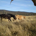 Photos: image 4 of 19