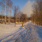 Photos: image 7 of 19